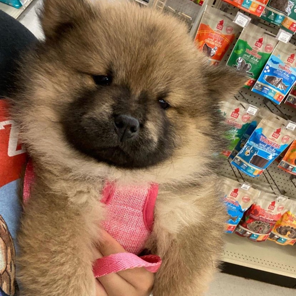 Meet your Posher, Juliette